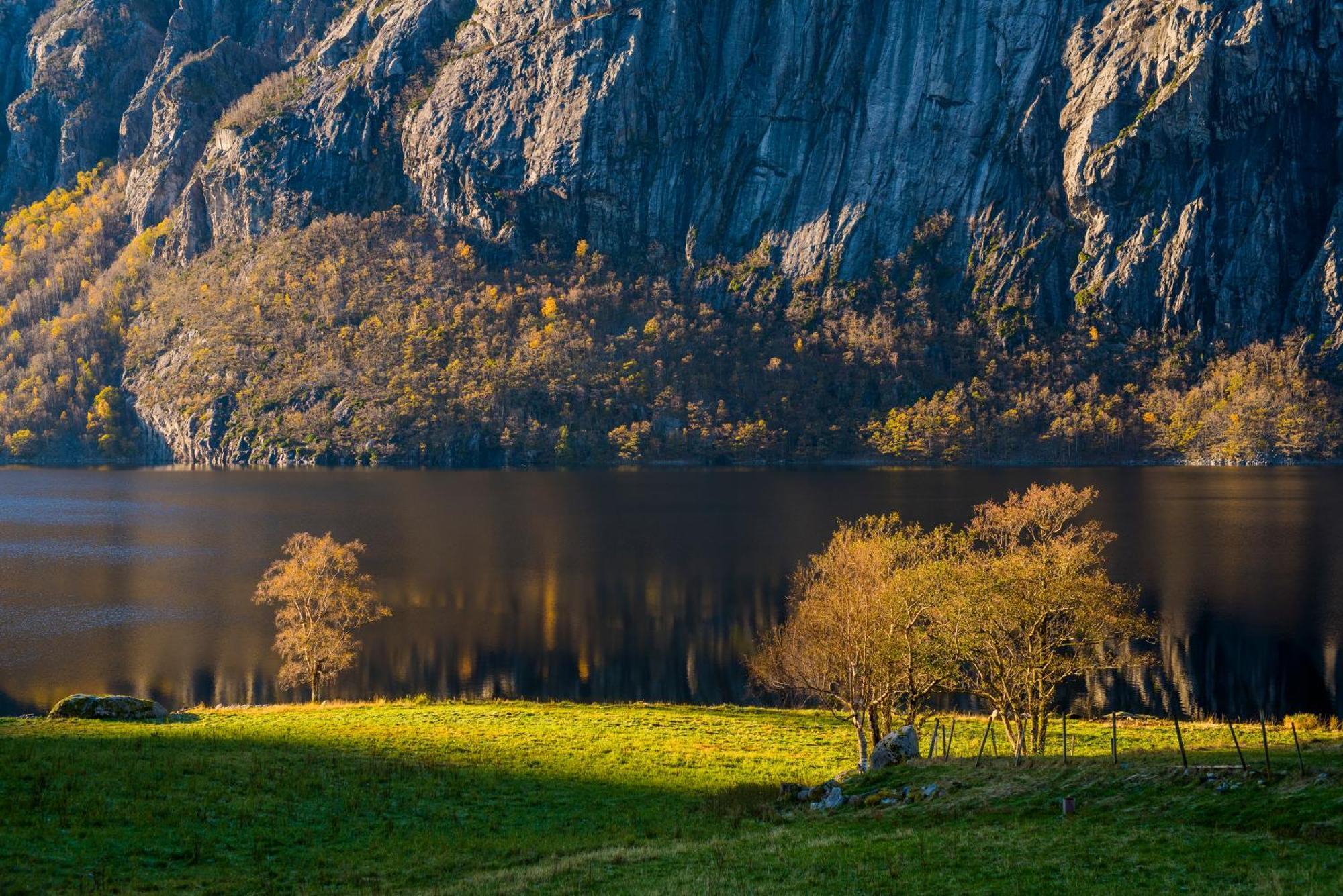 Hytte Ved Preikestolen Forsand Exteriör bild